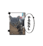 虎和88 Part 2（個別スタンプ：11）