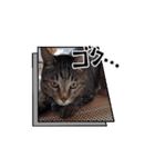 虎和88 Part 2（個別スタンプ：15）