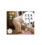 リシャラ（自然体）で行こう3（個別スタンプ：14）