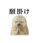 お祈りするワモンアザラシアザラシ赤ちゃん（個別スタンプ：12）