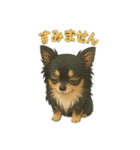ちわぽめ！リンコのごあいさつ（個別スタンプ：5）