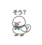 くるりん文鳥のツンデレスタンプ（個別スタンプ：9）