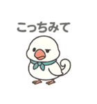 くるりん文鳥のツンデレスタンプ（個別スタンプ：26）