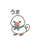 くるりん文鳥のツンデレスタンプ（個別スタンプ：29）