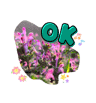 キレイ❇︎でカワイイ♡スタンプ（個別スタンプ：14）