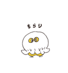 とりさら（個別スタンプ：21）