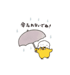 とりさら（個別スタンプ：37）