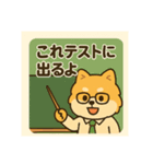 ポメラニアン教師の日常（個別スタンプ：14）