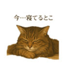 ノルさんは高貴な猫 ノルウェージャン（個別スタンプ：1）