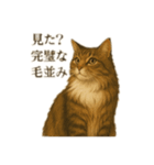 ノルさんは高貴な猫 ノルウェージャン（個別スタンプ：4）