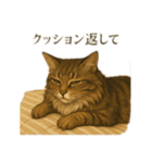 ノルさんは高貴な猫 ノルウェージャン（個別スタンプ：8）
