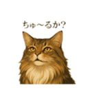 ノルさんは高貴な猫 ノルウェージャン（個別スタンプ：10）