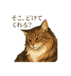 ノルさんは高貴な猫 ノルウェージャン（個別スタンプ：13）