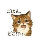ドジっ子にゃんこ ノルウェージャン（個別スタンプ：2）