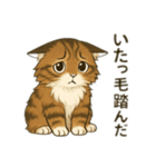 ドジっ子にゃんこ ノルウェージャン（個別スタンプ：5）