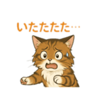 ドジっ子にゃんこ ノルウェージャン（個別スタンプ：10）