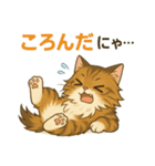 ドジっ子にゃんこ ノルウェージャン（個別スタンプ：16）