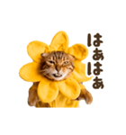 動く！リアル着ぐるみ猫2（個別スタンプ：7）
