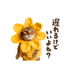 動く！リアル着ぐるみ猫2（個別スタンプ：8）