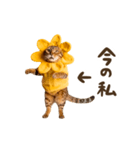 動く！リアル着ぐるみ猫2（個別スタンプ：12）