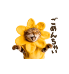 動く！リアル着ぐるみ猫2（個別スタンプ：16）