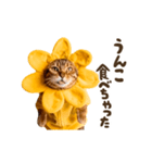 動く！リアル着ぐるみ猫2（個別スタンプ：17）