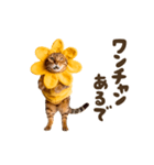 動く！リアル着ぐるみ猫2（個別スタンプ：20）
