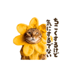 動く！リアル着ぐるみ猫2（個別スタンプ：23）