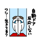 全力いぬ老いと戦う編（個別スタンプ：8）