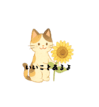 三毛猫とだるまのスタンプ4夏（個別スタンプ：4）
