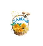 父の日〜お父さんいつもありがとう（個別スタンプ：5）