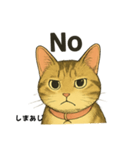 しまあじ猫である5（個別スタンプ：2）