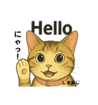 しまあじ猫である5（個別スタンプ：5）