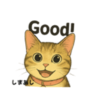 しまあじ猫である5（個別スタンプ：6）