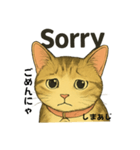 しまあじ猫である5（個別スタンプ：7）