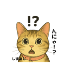 しまあじ猫である5（個別スタンプ：8）