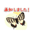 日本のチョウ図鑑（個別スタンプ：1）