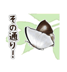 日本のチョウ図鑑（個別スタンプ：6）