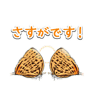 日本のチョウ図鑑（個別スタンプ：8）