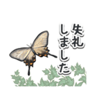 日本のチョウ図鑑（個別スタンプ：9）