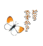 日本のチョウ図鑑（個別スタンプ：15）