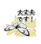日本のチョウ図鑑（個別スタンプ：16）