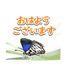 日本のチョウ図鑑（個別スタンプ：21）