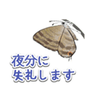 日本のチョウ図鑑（個別スタンプ：23）
