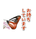 日本のチョウ図鑑（個別スタンプ：26）