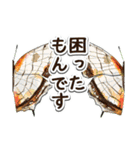 日本のチョウ図鑑（個別スタンプ：31）