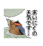 日本のチョウ図鑑（個別スタンプ：32）