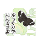 日本のチョウ図鑑（個別スタンプ：36）