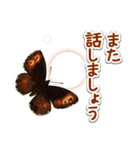 日本のチョウ図鑑（個別スタンプ：39）