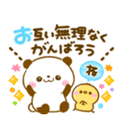 ころころパンダ♡カラフル可愛い（個別スタンプ：13）